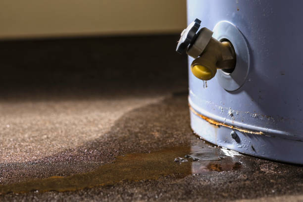 Best Water damage restoration near me  in Bradner, OH