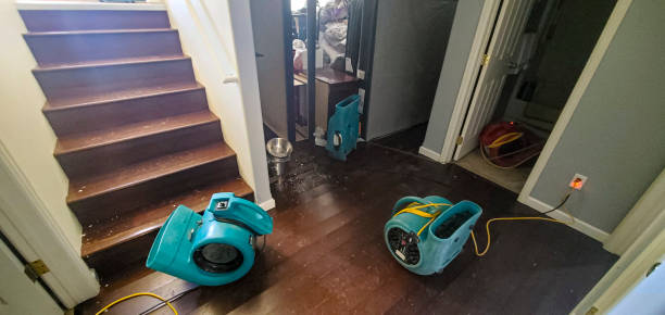 Best Carpet water damage restoration  in Bradner, OH