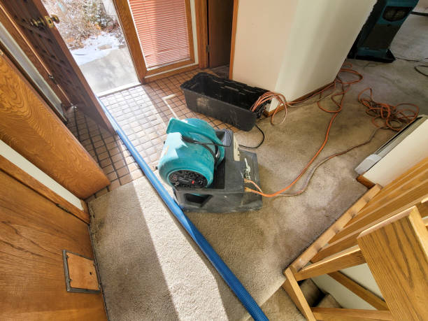 Best 24/7 water damage repair  in Bradner, OH