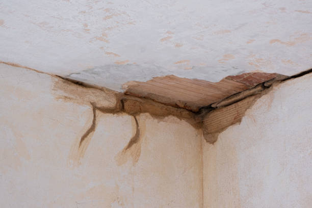 Best Sewage cleanup and water damage restoration  in Bradner, OH