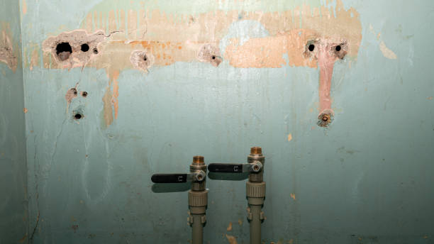 Best Water damage restoration services  in Bradner, OH