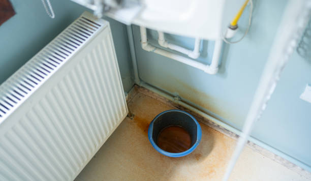 Best Professional water damage repair  in Bradner, OH