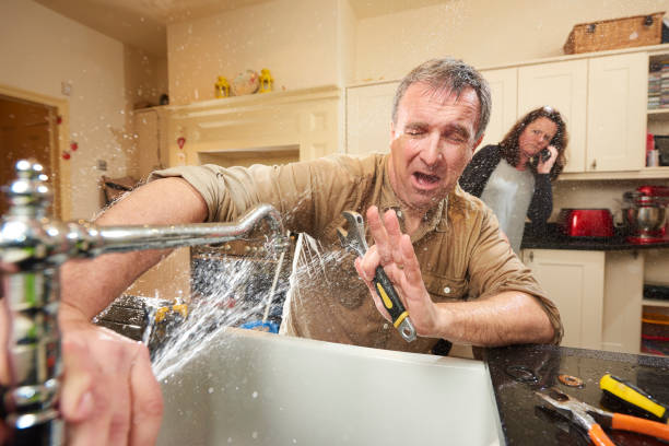 Best Water damage cleanup near me  in Bradner, OH